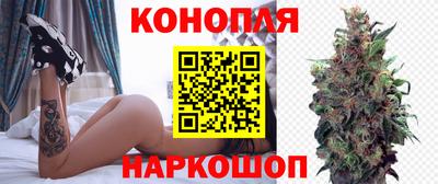крисы Кинель