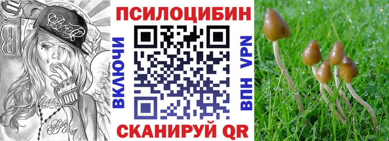Псилоцибиновые грибы мухоморы  где купить   Кингисепп 