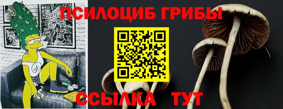 Галлюциногенные грибы GOLDEN TEACHER  Вход с VPN  Кингисепп 